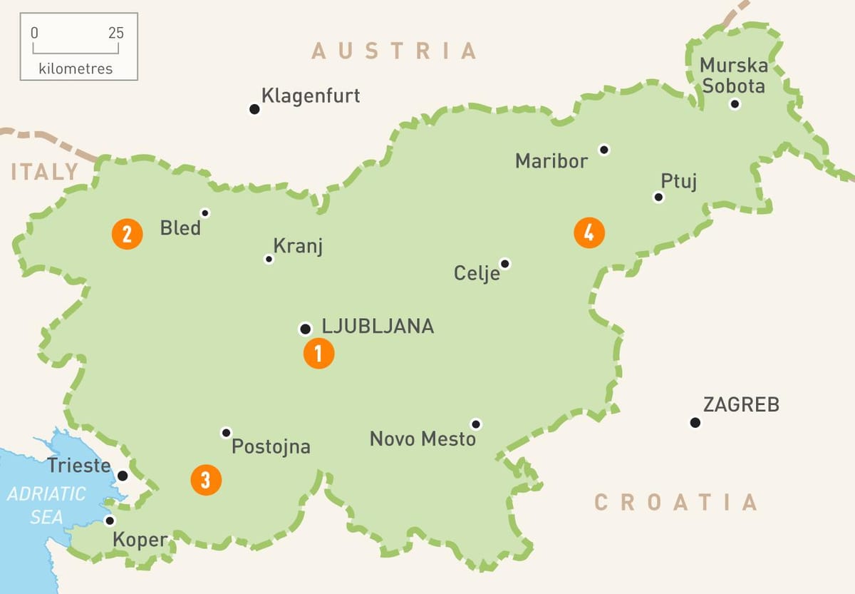 Karte von Slowenien Regionen